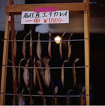 鱼肉,弄干,架子,西部,本州,兵库,日本
