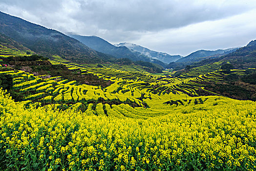 画里乡村篁岭