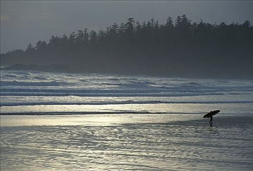 冲浪,长滩,格里夸湾,温哥华岛,不列颠哥伦比亚省,加拿大