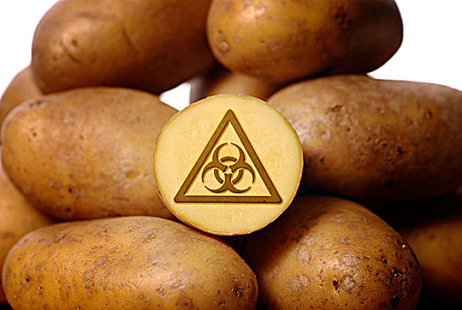 土豆,警告,标识,生化危害,象征,图像,基因