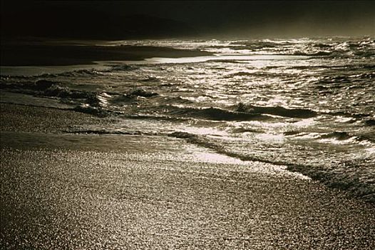 海洋,荒野,南非