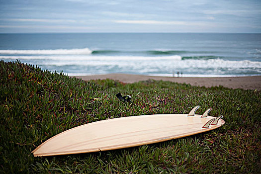 冲浪板,草,悬崖,雷斯岬,国家海岸,加利福尼亚,美国