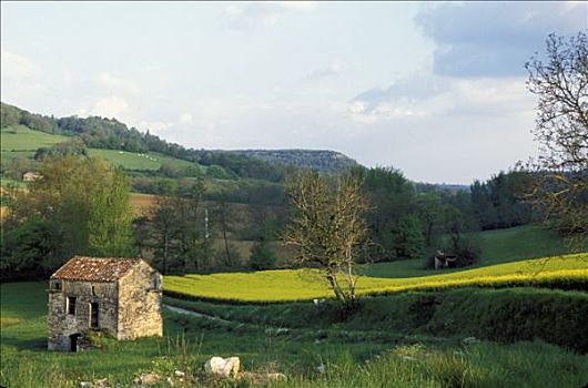 法国,风景,小屋