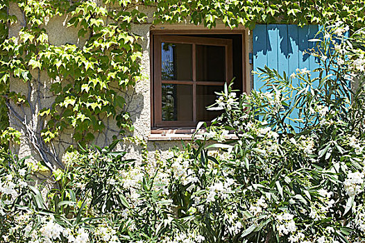 现代,传统风格,普罗旺斯,房子,窗户,盛开,百叶窗
