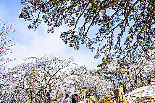 黄山雪凇风光