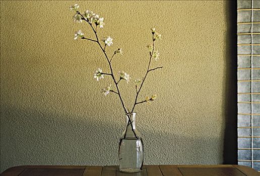 日本,枝条,花瓶