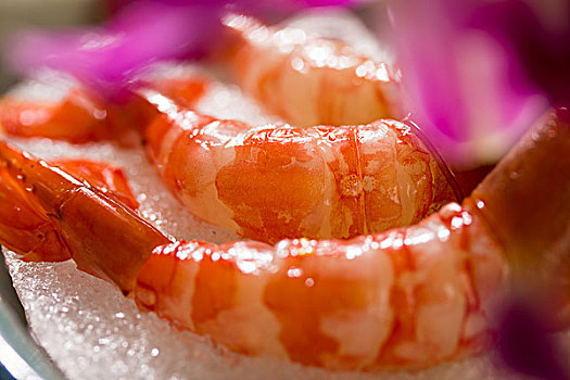 北极甜虾甜虾牡丹虾