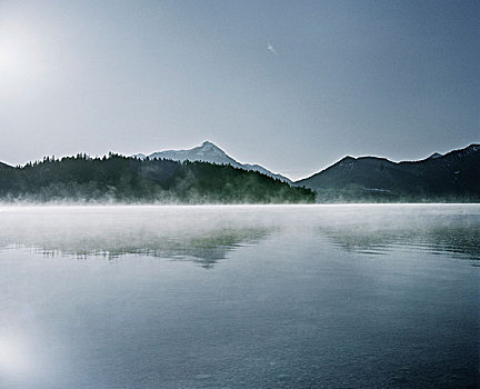 雾,湖