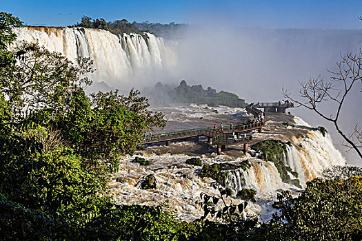 风景,伊瓜苏瀑布,步行桥,伊瓜苏国家公园,巴西