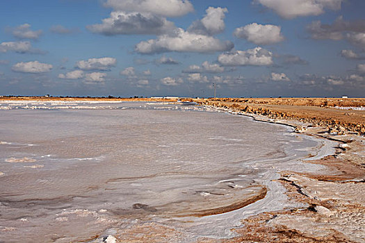 盐,湖,靠近,绿洲,突尼斯,北非,非洲