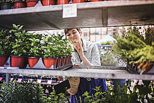 女人,购物,植物,市场