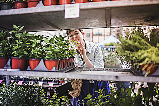 性女传奇在线