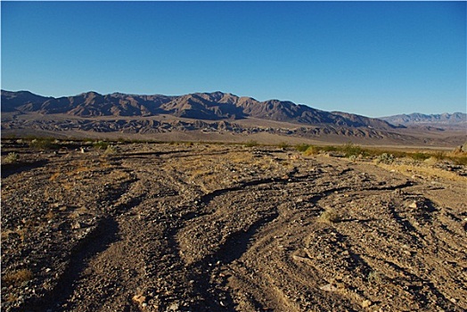 干燥,河床,死谷,加利福尼亚
