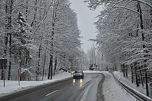 联邦,公路,冬天,雪