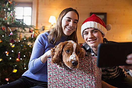 兄弟姐妹,狗,圣诞礼物,盒子