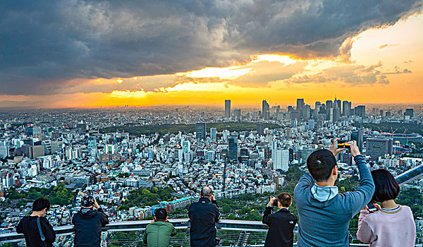 日本,东京,城市,新宿,天际线,日落