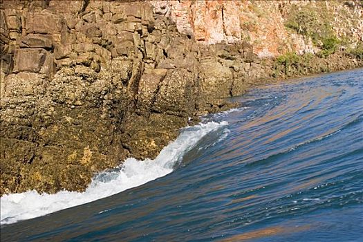 横图,瀑布,潮汐,西澳大利亚,澳大利亚