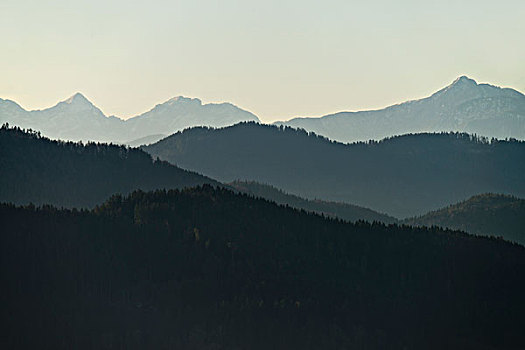 山脉,雾气,卡林西亚,奥地利,欧洲