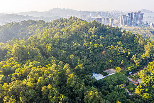 航拍广州大角山炮台遗址,虎门炮台