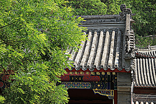 北京戒台寺的灰瓦建筑和绿树