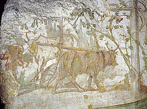 绘画,墓地,亚历山大,埃及,罗马时期,二世纪