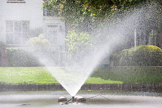 喷泉,公园,鹿特丹