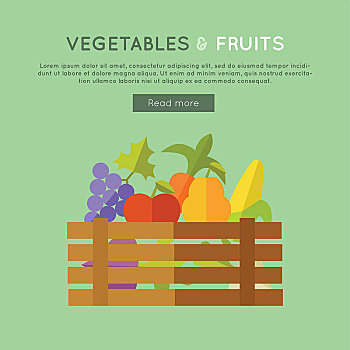 水果,蔬菜,矢量,旗帜,设计,插画,木盒,满,新鲜,农场,农作物,彩色背景,农事,概念,苹果,玉米,梨,甜菜,葡萄