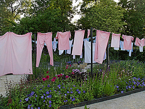 艺术,动作,粉色,洗衣服,晾衣服,花园