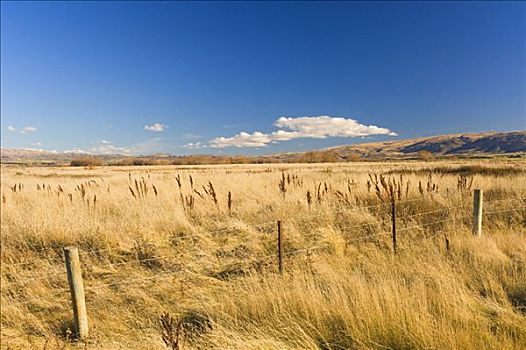 栅栏,地点,山谷,奥塔哥,南岛,新西兰