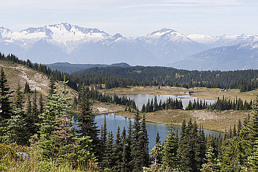 高山,湖,不列颠哥伦比亚省,加拿大