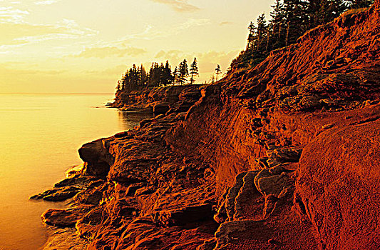 砂岩,悬崖,头部,爱德华王子岛,加拿大