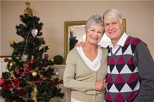 老年,夫妻,微笑,旁侧,圣诞树