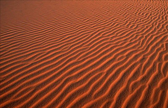 沙子,建筑,撒哈拉沙漠
