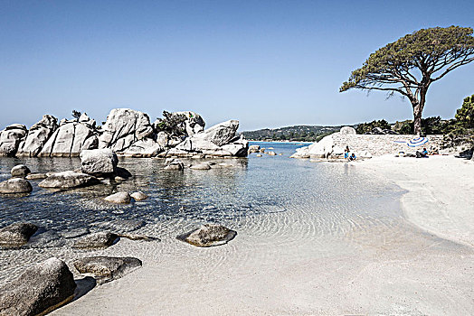浴,海滩,巴隆巴热亚,科西嘉岛,石头,清水