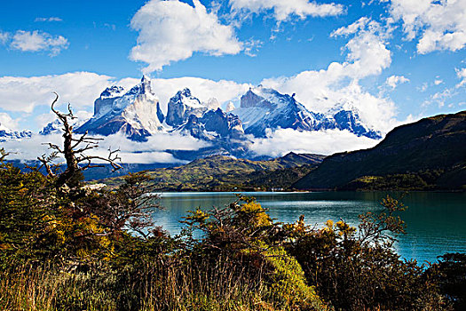 山,山脉,托雷德裴恩国家公园,巴塔哥尼亚,智利,南美