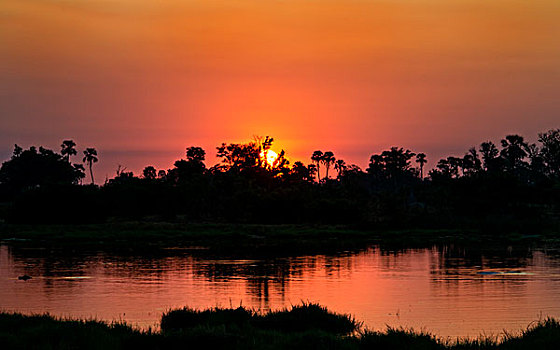 奥卡万戈河,河,博茨瓦纳,非洲,日出,大幅,尺寸
