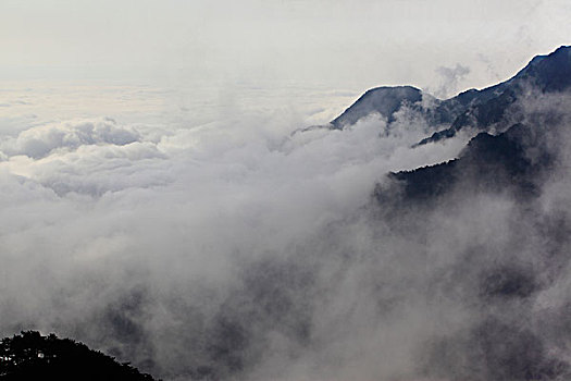 山,云海,雾