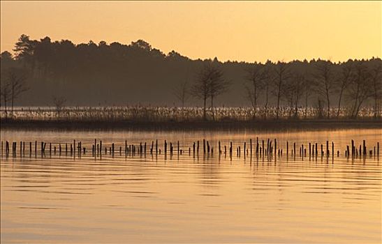 法国,阿基坦,湖,日落