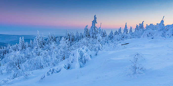 积雪,冬季风景,黎明,格罗塞尔,法兰克福,黑森州,德国