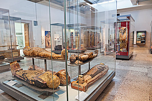 英格兰,伦敦,大英博物馆,埃及,房间,展示,木乃伊