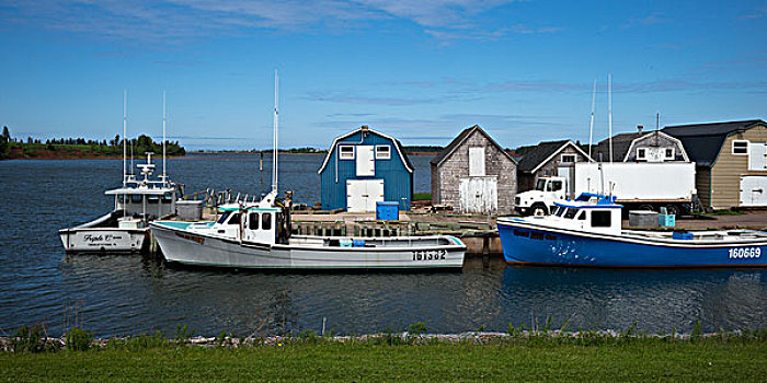 捕鱼,船,码头,绿色,山墙,爱德华王子岛,加拿大