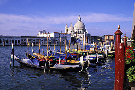 意大利,威尼斯,大运河,圣马利亚,行礼,小船