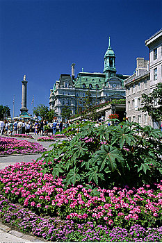 蒙特利尔老城,蒙特利尔,魁北克,加拿大