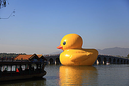 北京颐和园大黄鸭