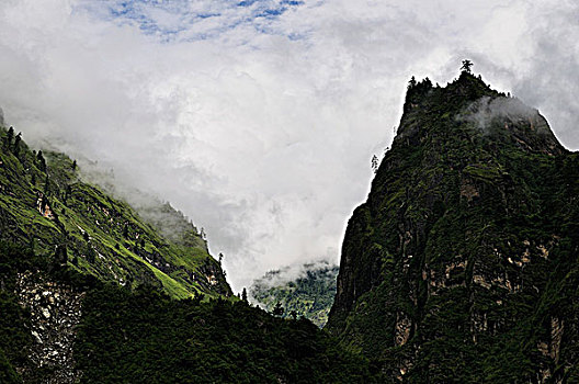 河谷,安娜普纳,保护区,尼泊尔