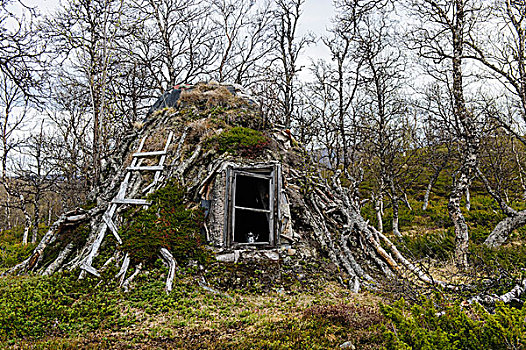 瑞典,自然保护区,传统,拉普兰人