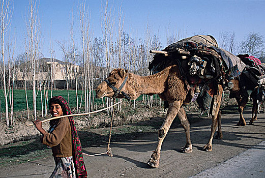 2003年,阿富汗,女孩,游牧,高知,部落,骆驼,道路,靠近,城镇,南,喀布尔,局部,驼队,省