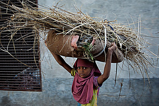 女孩,装载,干草,干燥,植物,头部,使用,燃料,烹调,设施,孩子,教育,技能,道路,室外,贫穷,达卡,孟加拉,二月,2007年