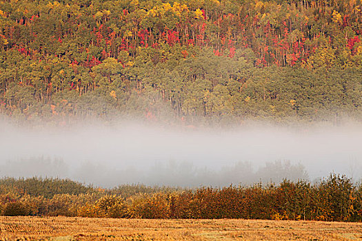 雾,悬空,旁侧,山,桑德贝,安大略省,加拿大