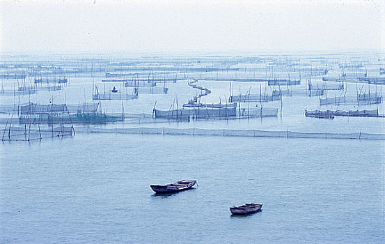 山东东平湖湿地